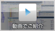 動画でご紹介