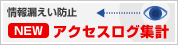 �A�N�Z�X���O�W�v