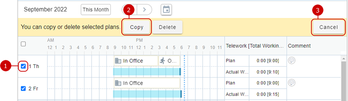 Select Work Plan