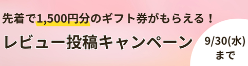 レビュー投稿キャンペーン
