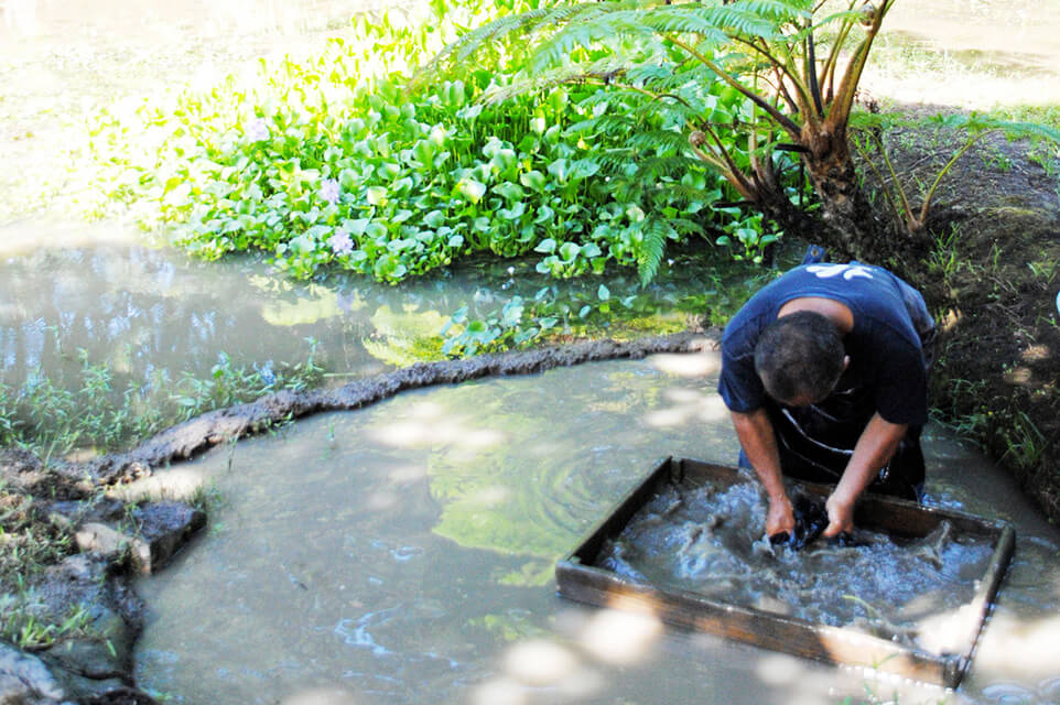 本場大島紬の泥染、手織りが体験できる