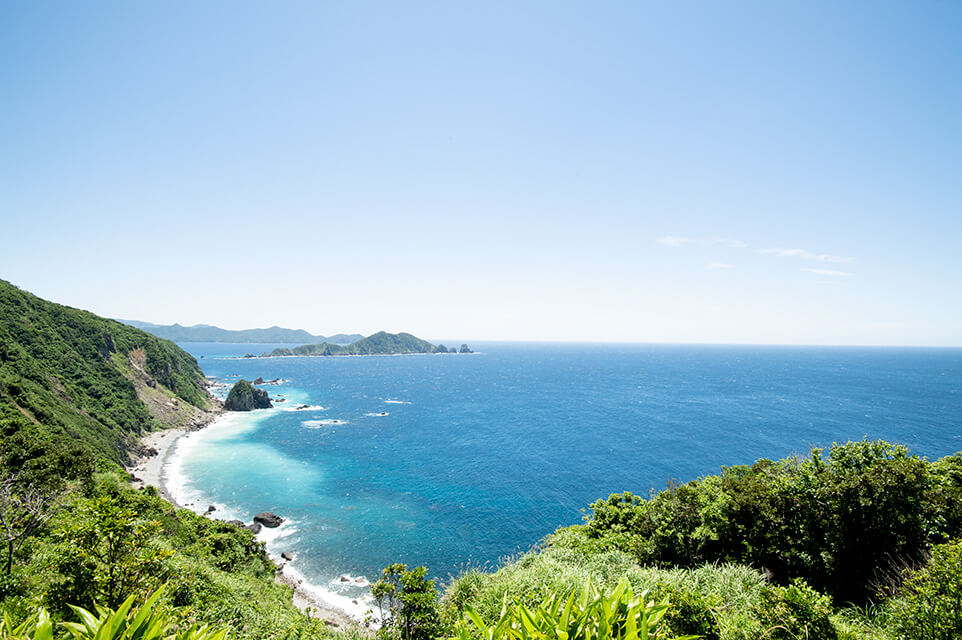 照葉樹林帯に面した青い海