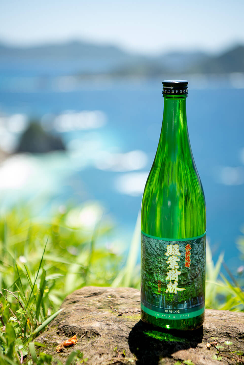 インスタ映えしそうな焼酎「照葉樹林」