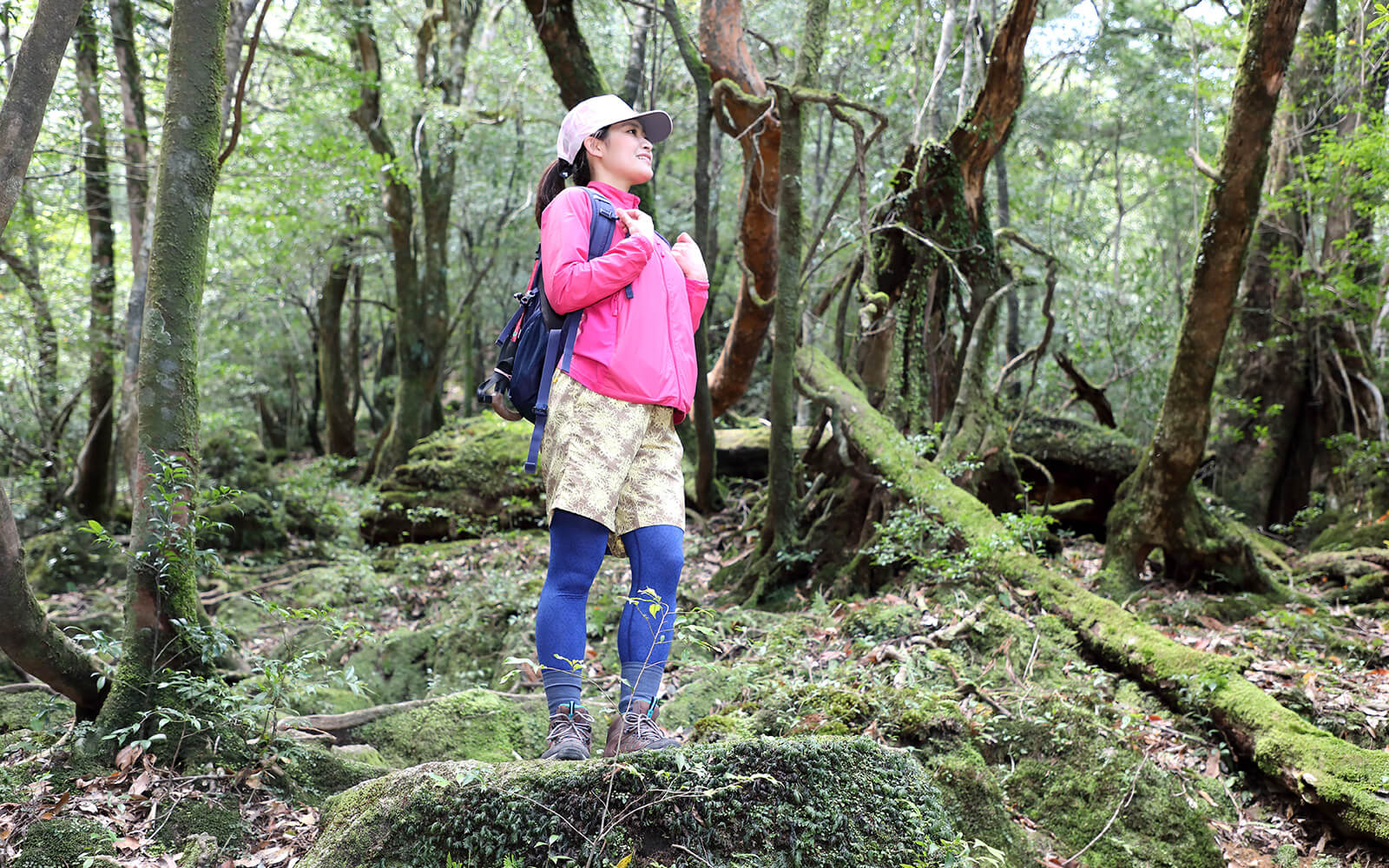 至る所で森の生命を感じる